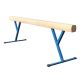 Бревно гимнастическое постоянной высоты 700 мм, 5 м Zavodsporta
