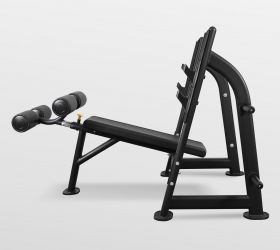 Скамья для жима Bronze Gym J-024 с отрицательным наклоном