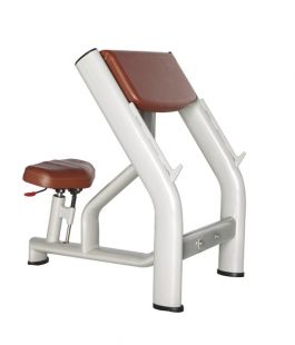Скамья Скотта Bronze Gym H-040A