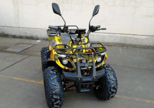 Квадроцикл GreenCamel Атакама T320 48V 1000W R8 Дифференциал