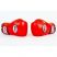 Перчатки боксерские Twins BGVL-3 10 oz