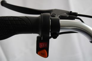 Электровелосипед GreenCamel Трайк-24 V3 (R24 350W 48V12Ah) 7 скор. есть царапины ЛКП